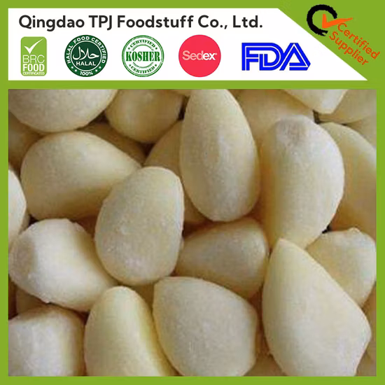 항아리에 담긴 고품질 통조림 마늘로 멸균된 신선한 마늘 퓨레 절인 마늘