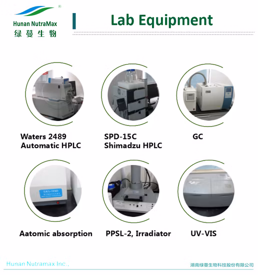 과일 추출물 블루베리 주스 분말 블루베리 주스 농축물